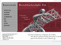 http://www.bsuri.ch/