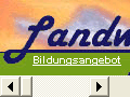 http://www.lz-visp.ch/